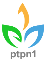 PTPN 1