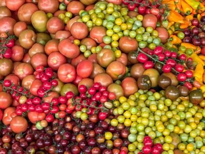 Colorful display of assorted tomatoes and peppers, showcasing freshness and variety.